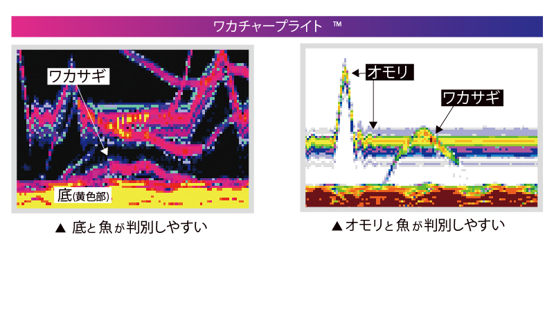 ワカチャープライトー3_2025