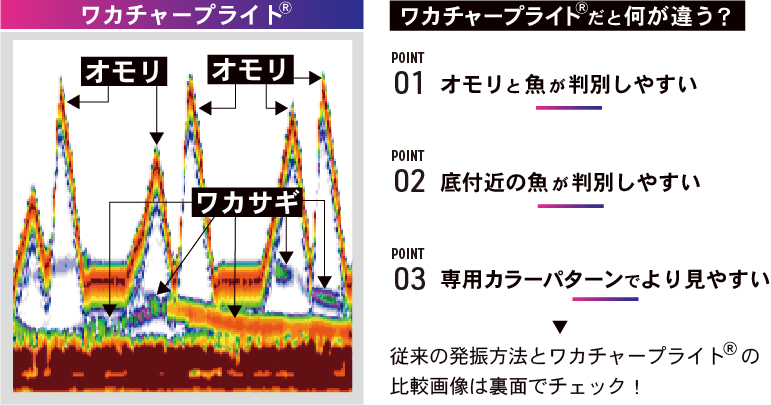 ワカチャープライト何が違う2026