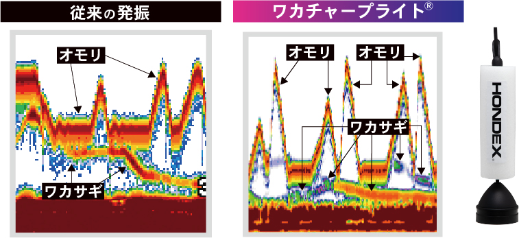 ワカチャープライト従来との比較2026
