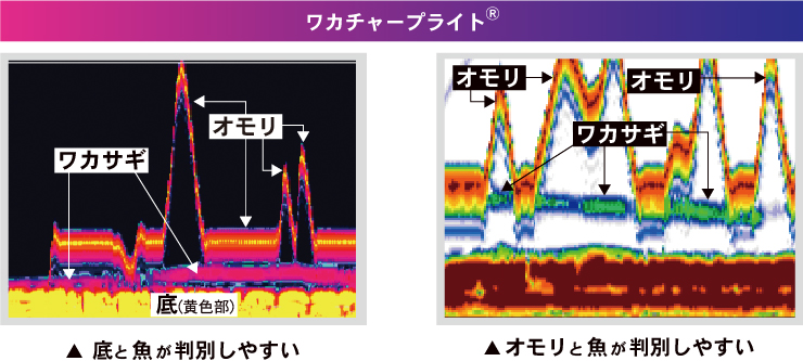 ワカチャープライト2つ2026