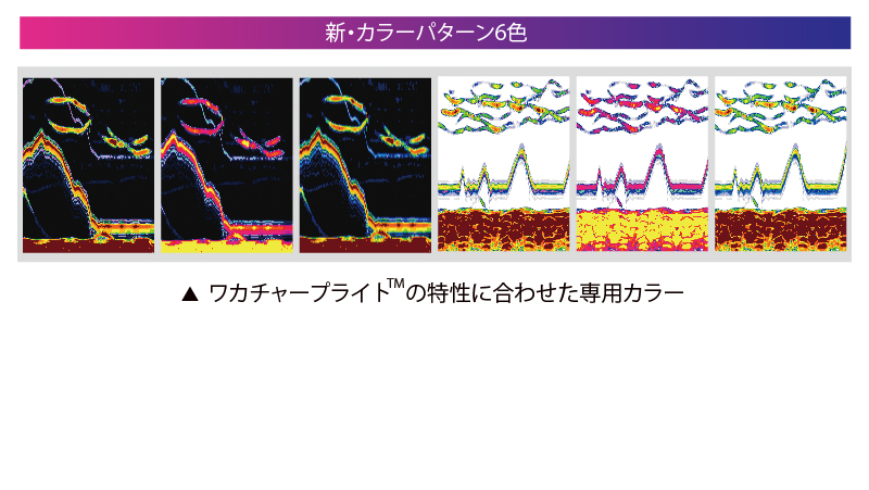 新カラーパターン