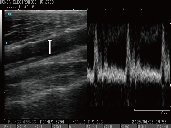 HS-2700 (new)202579_9