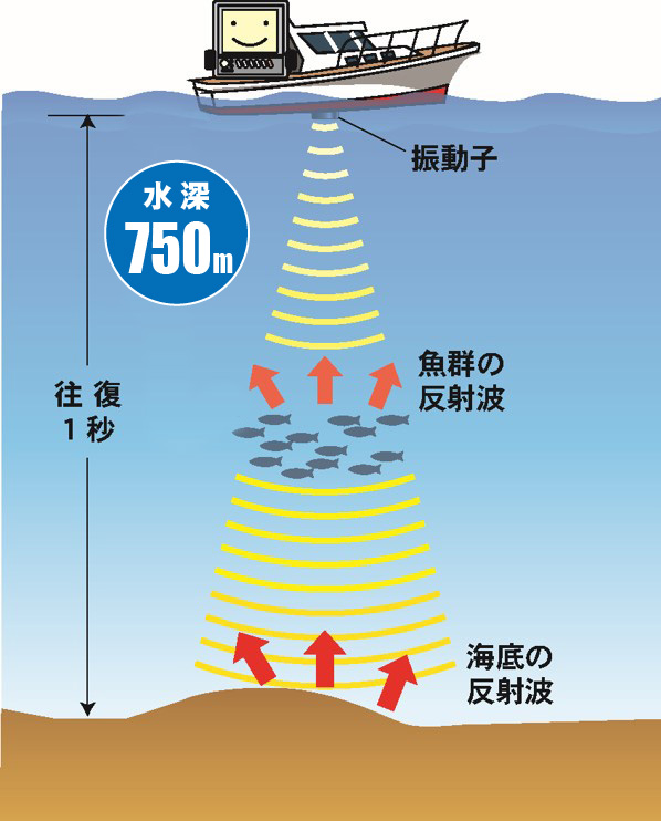 魚群探知機とは マリン製品 製品情報 本多電子株式会社